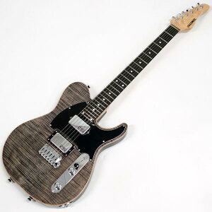 SCHECTER VFN^[ PT-24-CTM-VTR BKNTL / E Y GLM^[ 胂fy Z Z[ z
