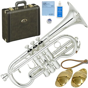 YAMAHA }n YCR-8620S E Rlbg ⃁bL CG[uX lI Ǌy Eb Cornet Neo Silver Zbg A@kC  s