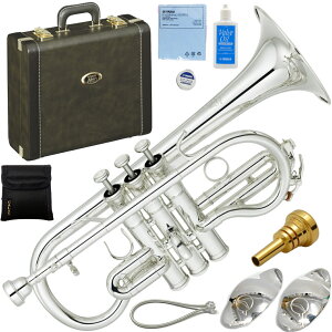 YAMAHA }n YCR-8620S E Rlbg ⃁bL CG[uX lI Ǌy Eb Cornet Neo Silver Zbg B@kC  s