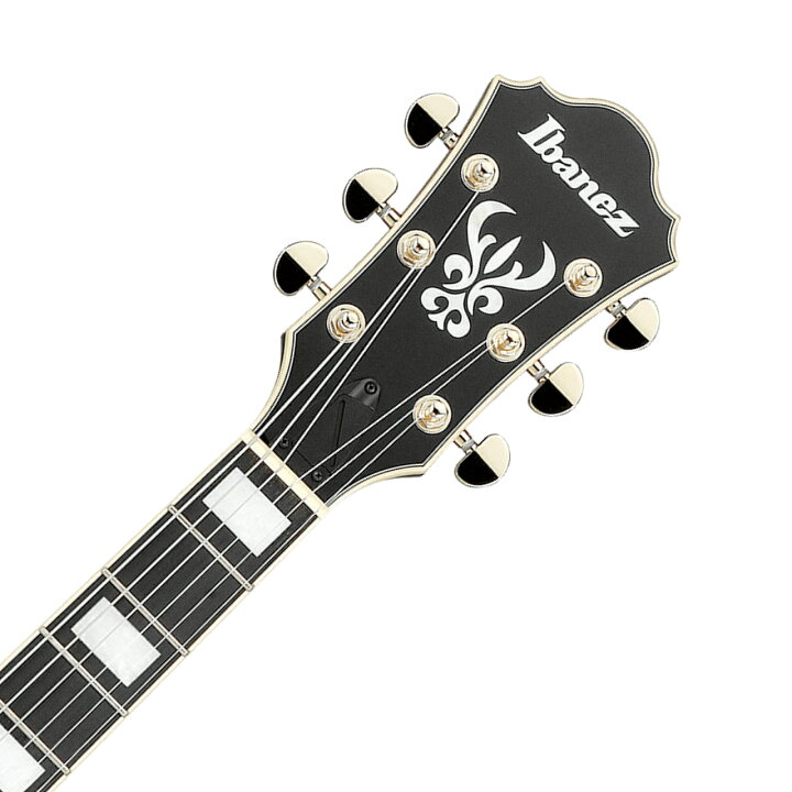 楽天市場】Ibanez アイバニーズ AG95QA DBS フルアコ エレキギター 