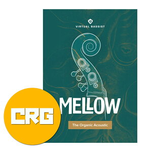 UJAM ���[�W���� Virtual Bassist MELLOW 2 �N���X�O���[�h �x�[�X���� DTM DAW