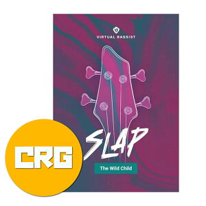 UJAM ���[�W���� Virtual Bassist SLAP �N���X�O���[�h �x�[�X���� �v���O�C�� DTM DAW