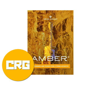UJAM ���[�W���� Virtual Guitarist AMBER 2 �N���X�O���[�h �M�^�[���� �v���O�C�� DTM DAW