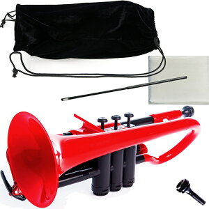 PINSTRUMENTS PCORNET1R bh Rlbg vX`bN PRlbg Ǌy ԐF ZbgA@ȉ͑Ήs kC    