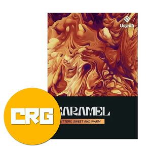 UJAM ���[�W���� USynth CARAMEL �N���X�O���[�h �V���Z���� �v���O�C�� DTM DAW