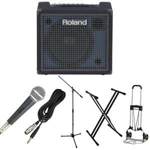 Roland [h KC-200 CuZbg L[{[h Av 100W o