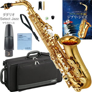 YAMAHA }n 5Nۏ؃T[rXΏ YAS-480 AgTbNX bJ[ S[h Ǌy ZbgX@ȉΉs kC   