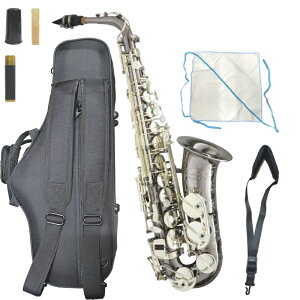 Chateau Vg[ CAS-HNS/BS AgTbNX ubNjbPbL jbPVo[ HANDMADE SERIES Alto Saxophone@kC  s