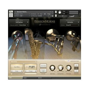 Native Instruments lCeBuCXgDc Session Horns Ǌy  vOC DTM DAW