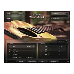 Native Instruments lCeBuCXgDc Session Guitarist Picked Acoustic AR[XeBbNM^[  vOC DTM DAW