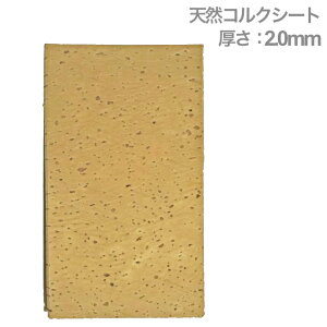 y[֏oוiz YAMAHA }n ؊Ǌy Cp p[c VRRNV[g ZX891000 ܂͓i TCY 100mm×150mm 2.0mm WCg lbN@kC   s