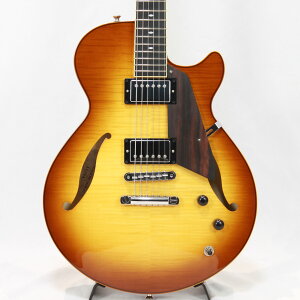 Sadowsky Semi Hollow Model Caramel Burst Y Z~AR ThEXL[ GLM^[