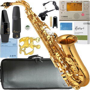 YAMAHA ヤマハ 5年保証サポート対象 YAS-875EX アルトサックス カスタム alto saxophone gold Custam セルマー S80 セット T 北海道 沖縄 離島 代引き不可