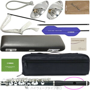 Pearl Flute p[t[g PFP-105E sbR  OifBbe nCEF[u^Cv̌  Ǒ  EJjY PFP105E Zbg C@kC  s