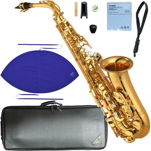 YAMAHA }n 5Nۏ؃T|[gΏ YAS-875EX AgTbNX JX^ bJ[ S[h Alto saxophone gold Custam EX Zbg R@kC   s