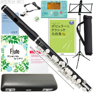 YAMAHA }n YPC-62R ؐ sbR { g^` S Ǌy EJjY OifB vtFbVi piccolo Zbg K@kC  s