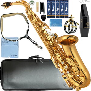 YAMAHA }n 5Nۏ؃T|[gΏ YAS-875EX AgTbNX JX^ alto saxophone gold Custam Z}[ }EXs[X S80 ZbgS@kC   s