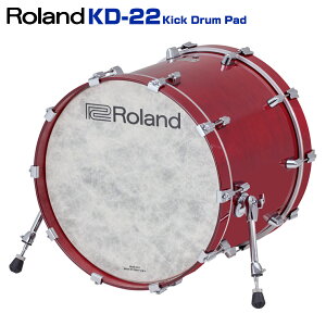Roland [h KD-22-GCyKD-22-GCz
