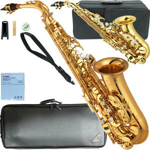 YAMAHA }n 5Nۏ؃T|[gΏ YAS-875EX AgTbNX bJ[ Alto saxophone gold Custam J}CP\vmTbNXZbg@kC   s