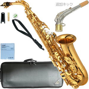 YAMAHA }n 5Nۏ؃T|[gΏ YAS-875EX AgTbNX JX^ bJ[ Alto saxophone gold Custam ⃁bLlbNǉZbg@kC   s