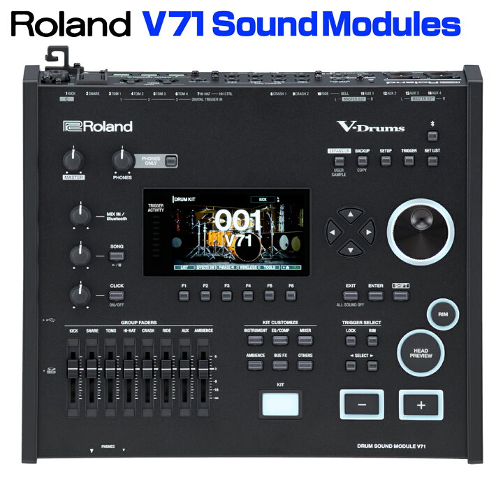 楽天市場】Roland ローランド TD716 V-Drums Pearl ツインペダル 