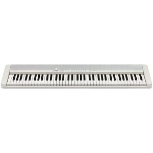 CASIO JVI CT-S1-76 WE 76 Vv SҌ y zCg