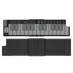 KORG RO NANOKEY-FD BK BLACK ubN MIDI L[{[h