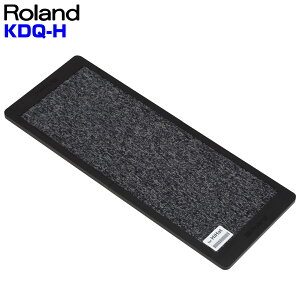 Roland [h NEQ-H nCnbgy_x[XyNEQ-Hz dqh Gh hU }bgU h~ Â