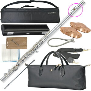 Pearl Flute p[t[g PF-665RE OLC t[g  ␻ h`F EJjY ItZbg Dolce flute PF665RE Zbg E@kC  s