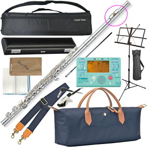 Pearl Flute p[t[g PF-665RE OLC t[g  ␻ h`F EJjY ItZbg Dolce flute PF665RE Zbg B@kC  s