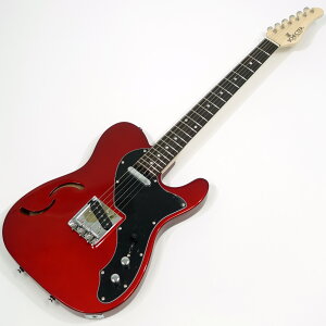 SCHECTER VFN^[ OL-PT-TH CAR IG^C GLM^[