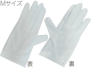 y[֏oוiz v} ~NfBAFSY O[u^N[i[NX V@[O[ MTCY E 2 1g PRIMA GAKKI cleaning cloth@kC  s