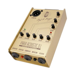 L.R.Baggs 50th Anniversary Gold Para D.I. AR[XeBbNM^[ GAR vAv