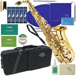 J Michael J}CP 3Nۏ AL-500 AgTbNX bJ[ S[h ZbgCC@ȉ͑Ήs kC    