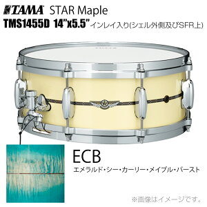 TAMA ^} STAR Maple TMS1455D ECB CCiVFOSFRj h XlAyTMS1455D ECBzyP[Xt 󒍐Y [vmF s z X^[ X^[Cv