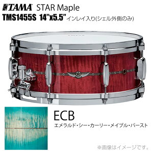TAMA ^} STAR Maple TMS1455S ECB CCiVFÔ݁j h XlAyTMS1455S ECBzys 󒍐Y [vmF P[Xt z X^[ X^[Cv