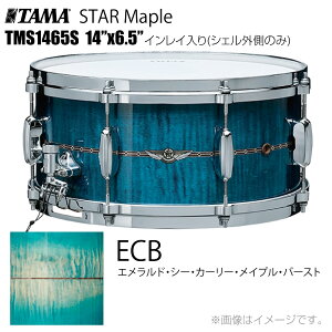 TAMA ^} STAR Maple TMS1465S ECB CCiVFÔ݁j h XlAyTMS1465S ECBzy 󒍐Y [vmF s P[Xt 106_[J[݌ɖ z X^[ X^[Cv