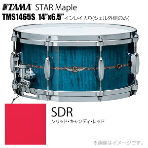 TAMA ^} STAR Maple TMS1465S SDR CCiVFÔ݁j h XlAyTMS1465S SDRzys 󒍐Y [vmF P[Xt z X^[ X^[Cv