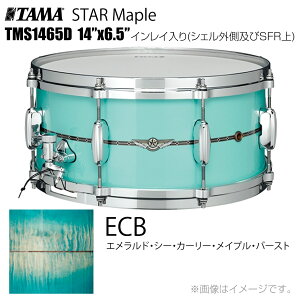 TAMA ^} STAR Maple TMS1465D ECB CCiVFOSFRj h XlAyTMS1465D ECBzyP[Xt 󒍐Y [vmF s z X^[ X^[Cv