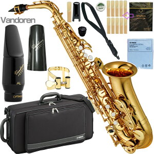YAMAHA }n 5Nۏ؃T[rXΏ YAS-480 AgTbNX bJ[ S[h Ǌy Vandoren IveB} Zbg@ȉΉs kC   