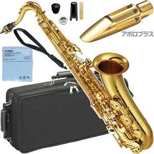 YAMAHA }n YTS-62 ei[TbNX bJ[ S[h Ǌy APOLLO^}EXs[X ZbgO@ȉΉs kC   