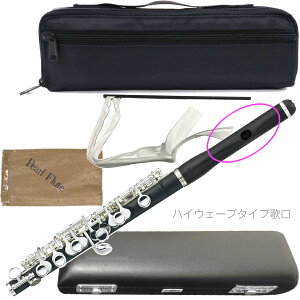 Pearl Flute p[t[g PFP-105E sbR  OifBbe nCEF[u^Cv̌   vX`bN EJjY PFP105E@kC  s