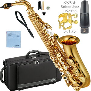 YAMAHA }n 5Nۏ؃T[rXΏ YAS-480 AgTbNX bJ[ S[h Ǌy ZNgWY ZbgG@ȉΉs kC   