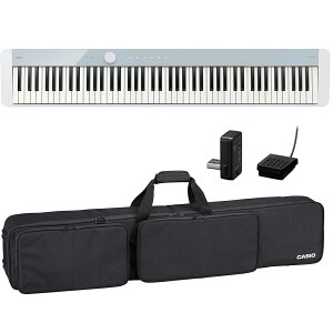 CASIO JVI m䐔萶Yn dqsAmPX-S1100 CB Calm Blue pP[XZbg J[u[y_XgJo[ v[g z