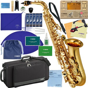 YAMAHA }n 5Nۏ؃T[rXΏ YAS-480 AgTbNX bJ[ S[h Ǌy TDM-700DMK Zbg@ȉΉs kC   