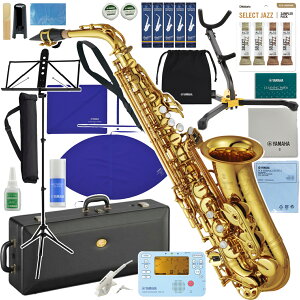YAMAHA }n 5Nۏ؃T|[gΏ YAS-82Z AgTbNX bJ[ JX^Z Alto saxophone Custam ZbgU@ȉΉs kC   