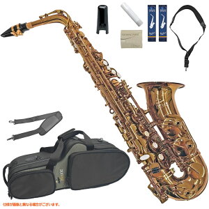 Antigua AeBOA AS6200AM PROONE AgTbNX Ao[bJ[ v PRO-ONE AM@ȉΉs kC   