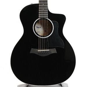 Taylor eC[ 214ce BLK Plus GAR AR[XeBbNM^[