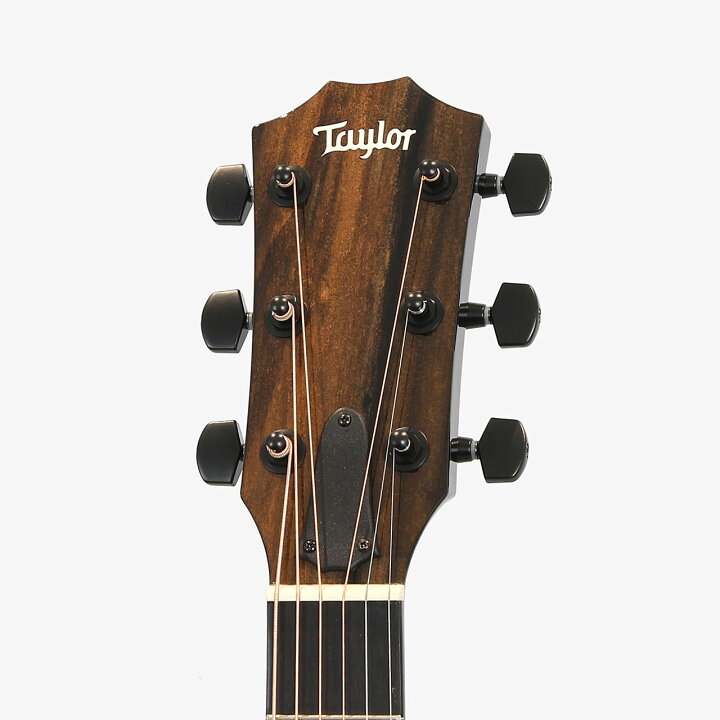 楽天市場】Taylor テイラー 214ce BLK Plus エレアコ アコースティック 