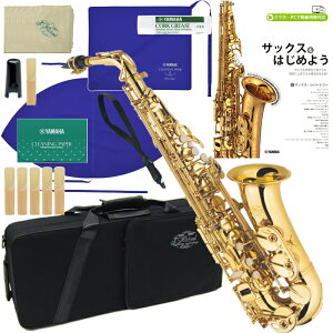 J Michael J}CP 3Nۏ AL-500 AgTbNX bJ[ S[h ZbgT@ȉ͑Ήs kC    